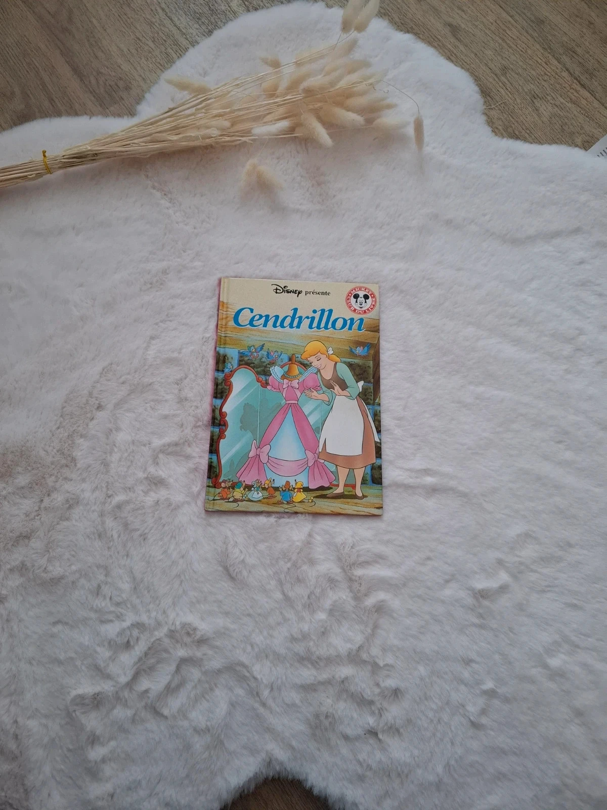 📚 livre mickey club du livre Cendrillon Disney